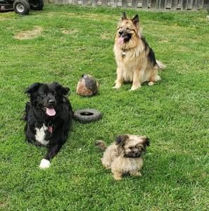 Meet your Posher, Cathy